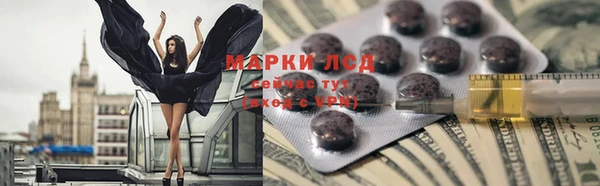 гашик Аркадак