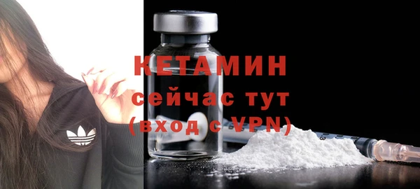 стаф Арсеньев