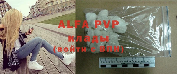 стаф Арсеньев