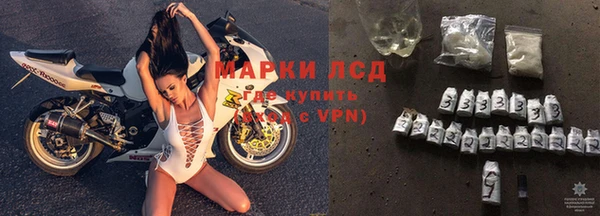 гашик Аркадак