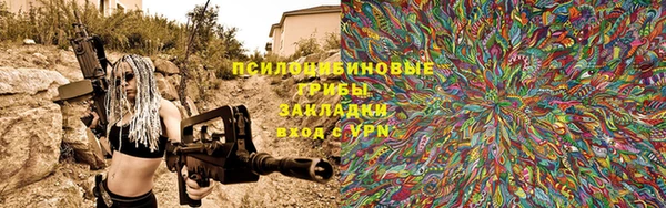 гашик Аркадак