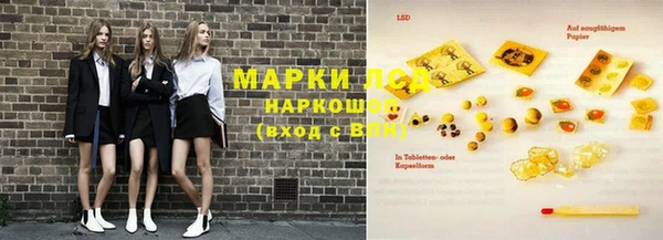 гашик Аркадак