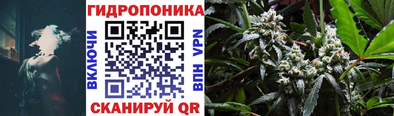 Бошки Шишки OG Kush  цена   Удомля 